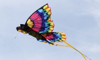 制作風(fēng)箏作文開頭