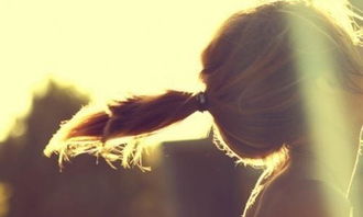 我終于收獲了勇氣作文600字作文開頭