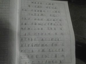 調(diào)查報告范文五百字(調(diào)查報告范文五百字)