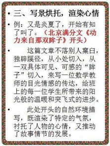 藏在的驚喜作文開頭