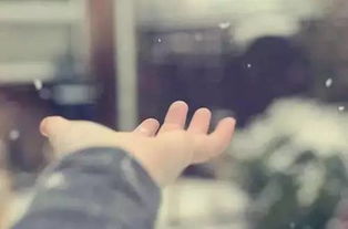 漸行漸遠(yuǎn)的身影600字作文開頭