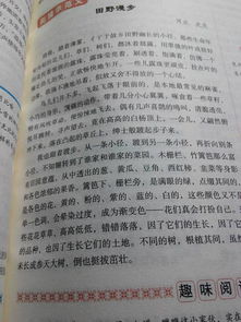 記一次有意義的活動(dòng)作文開頭怎么寫