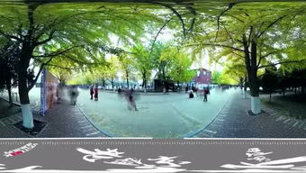 家鄉(xiāng)的變化(家鄉(xiāng)的變化)