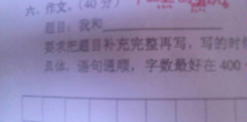 我與他600字作文開頭