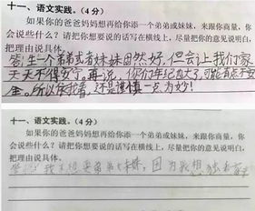 小學(xué)關(guān)于二胎作文開頭