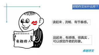 拯救動物開頭作文