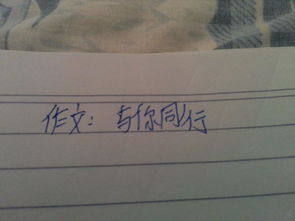 與你同行的時(shí)光作文開頭結(jié)尾