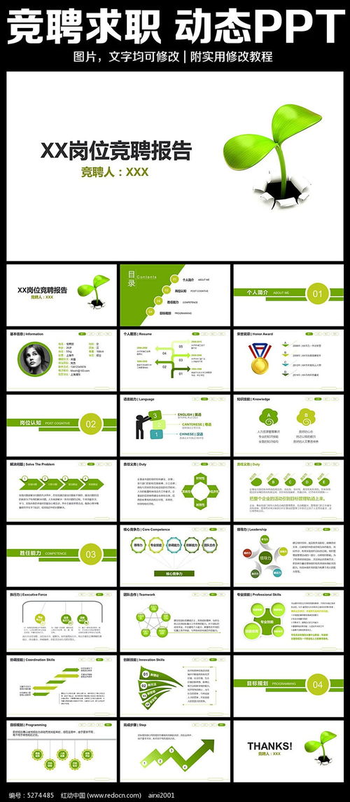 崗位競聘報告(教師個人崗位競聘述職報告)