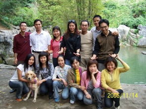 英語寫偶像作文開頭