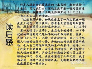 讀書心得的作文怎么寫開頭