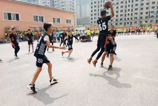 熱愛(ài)籃球的我(熱愛(ài)籃球的我)