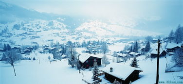 冬天的景色開頭作文怎么寫