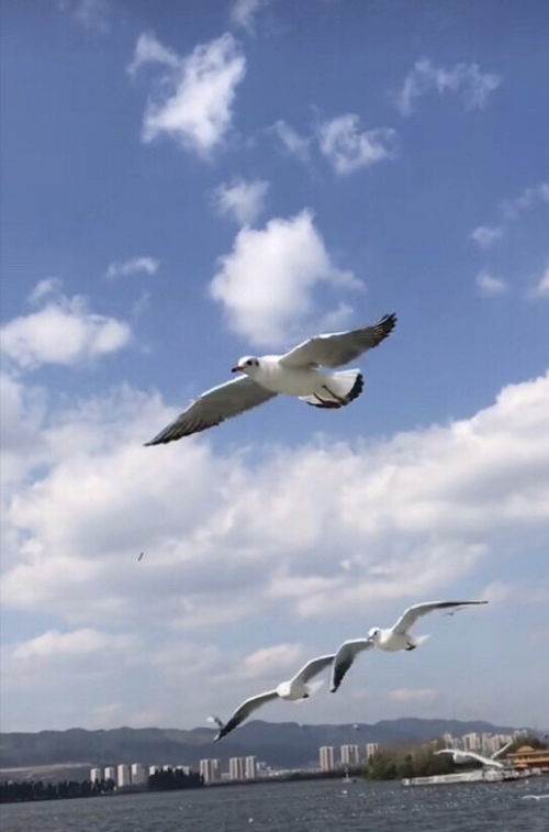 成長中讓我們動(dòng)情的事作文開頭