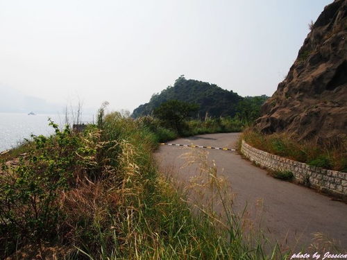 那道風(fēng)景別樣美麗作文好開(kāi)頭