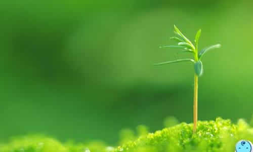 成長(zhǎng)因?yàn)橛心?000字作文高中作文開頭