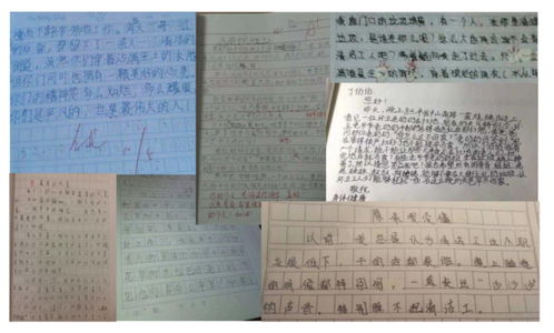 環(huán)境衛(wèi)生作文開頭