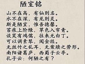 作文晚上的開頭