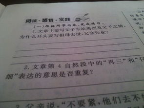 革命先烈的背影作文開頭