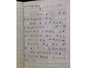 在路上題目作文開頭和結尾