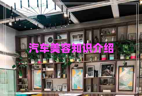 汽車(chē)美容知識(shí)介紹