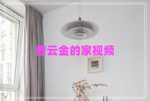 曹云金的家視頻