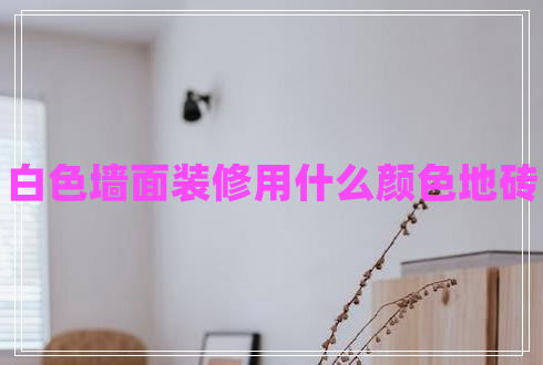 白色墻面裝修用什么顏色地磚