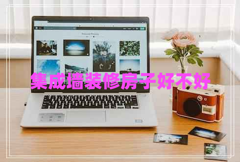 集成墻裝修房子好不好