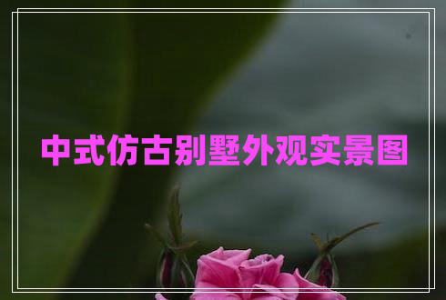 中式仿古別墅外觀實(shí)景圖