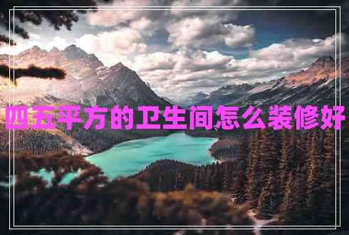 四五平方的衛(wèi)生間怎么裝修好