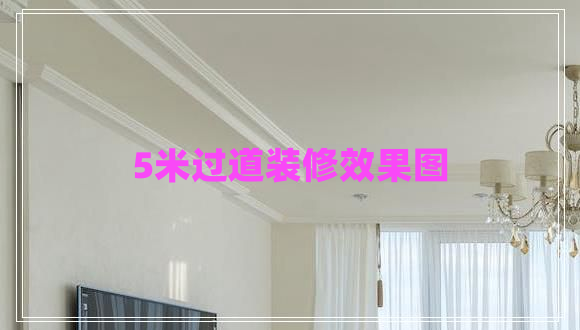 5米過道裝修效果圖