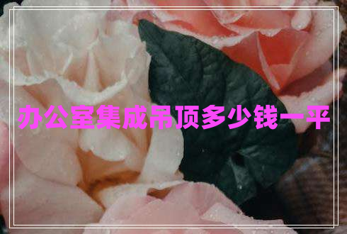 辦公室集成吊頂多少錢一平 辦公室集成吊頂多少錢一平