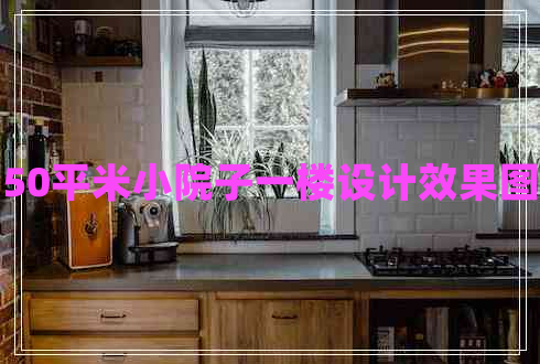 50平米小院子一樓設(shè)計(jì)效果圖