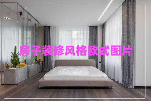 房子裝修風(fēng)格歐式圖片