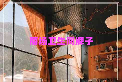 商場(chǎng)衛(wèi)生間牌子