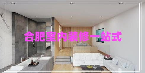 合肥室內(nèi)裝修一站式