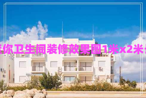 迷你衛(wèi)生間裝修效果圖1米x2米長(zhǎng)