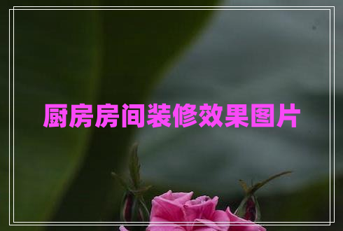 廚房房間裝修效果圖片