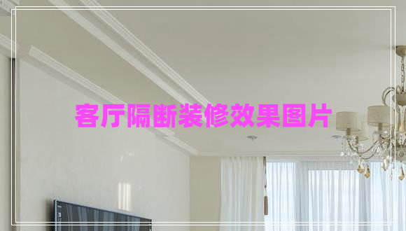 客廳隔斷裝修效果圖片