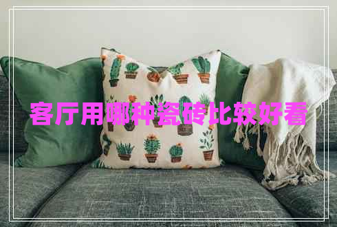 客廳用哪種瓷磚比較好看