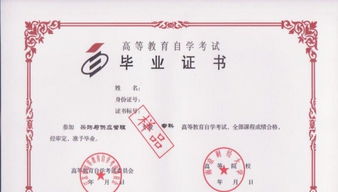 自考本科讓所在單位蓋章