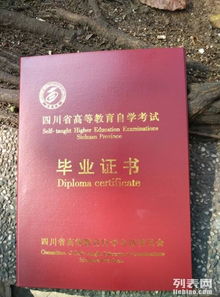 四川傳媒大學自考本科班招生