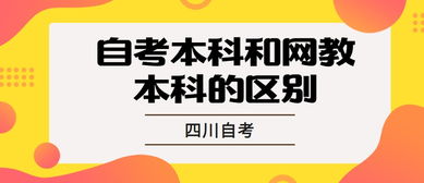 自考本科和網絡教育哪個貴
