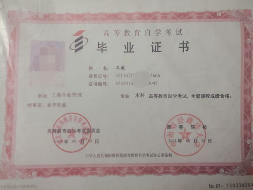 中南財經(jīng)政法大學(xué)自考本科多少錢