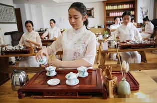 茶學(xué)專(zhuān)業(yè)本科自考