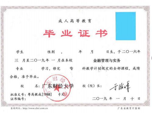 湛江自考學校本科