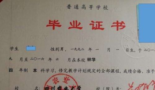自考的大學(xué)本科文憑可以考研嗎