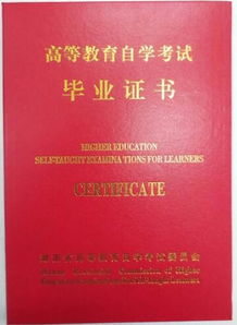 實(shí)踐自考本科通過率宣傳稿