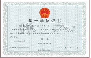 自考本科課程哪里可以學(xué)習(xí)