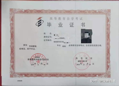 自考本科可以包什么專業(yè)