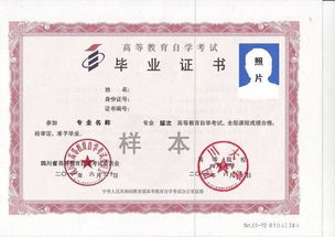 成人本科成考和自考的差別